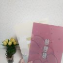 삼영피피의 시트도마, L자홀더 실사용 후기
