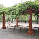 등촌공인중개사사무소 이미지