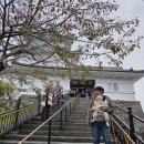 수원-0014 | 돌전아기와 도쿄 근교 하코네 여행! 할 수 있는 것들 모음집♪