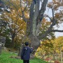 새한 마을회관 | 조식주는 단양펜션 소풍가는날