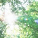 행복무지개 이미지