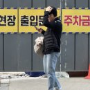 예쁜강아지 | 분당벚꽃명소 “율동공원” 강아지랑 다녀온 후기 / 분당벚꽃 , 성남벚꽃명소