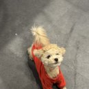 스테이 더 나잇 이미지