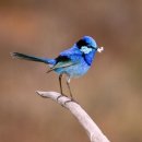 도나컨시어지 이미지