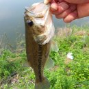 송산2교 이미지