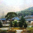 상리길(풍산읍) 이미지