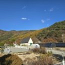 조이스타운 이미지