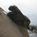 곰바위 이미지