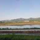 유쾌한 봄바람 콘서트 이미지