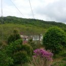 노적애뜰 이미지