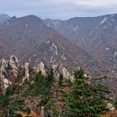 정기코스 이미지