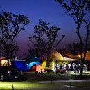 서부산생태투어 이미지