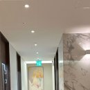 화목데파트 | 정관 울쎄라 샷 수보다 기준이 먼저입니다 <의사 가이드>