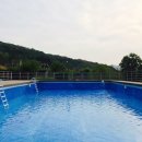 양평 드림캠핑장 Daum카페