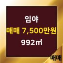 딸기공인중개사