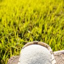 읍부리정미소 이미지