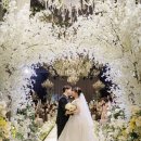 다시봄날 | 다시봄날 스냅 본식 후기🌸