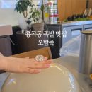 오밤족 이미지