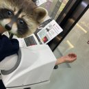 아나파의원 | [꾸며윰] 닥터아나파문제성발톱클리닉 :: 남양주무좀 관리 받고 온 후기 (내성발톱 케어까지 올인원 가능!)