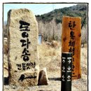 백안산장 이미지