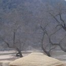 주막 Daum카페