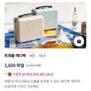 태극스카이골프 | ✈️ 대한항공 마일리지 사용, KAL스토어 인기 상품 구매 후기 (캐리어/레디백/볼펜) 🇰🇷