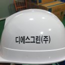 디에스그린(주) 이미지