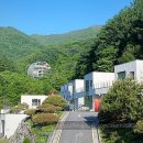 뮤지엄스테이 | 가을 춘천 1박2일 추천 여행코스🍁｜이상원미술관 &amp; 뮤지엄 스테이 체험기