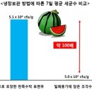 수박 이미지