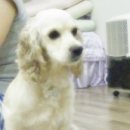 돼랑이 - 성동구 고산자로 284 | 돼랑이