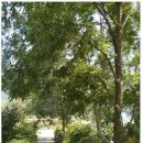 (주)나무연구소 이미지