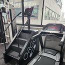 머슬원핏 월곶점 이미지