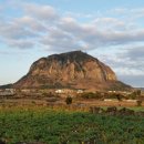 제주산방산황토펜션 이미지