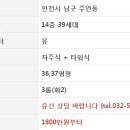 밀레니움 이미지