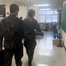 아라실 이미지