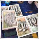 경화시장 이미지