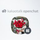 꽃방해바라기 이미지