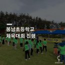 봉남초등학교 이미지