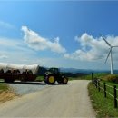 동막골목장 이미지