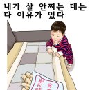 부경카 이미지