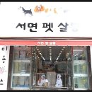 서면펫살롱 이미지