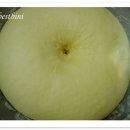 레이어커피 - 강서구 과학산단2로20번길 69 | 레이어커피