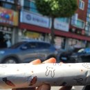 김밥천국한라이안점