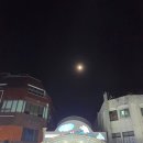 아싸살아있네 | [제주도] 제주 시내(연동) 횟집 아싸살아있네 내돈내산 후기｜제주공항 근처 회 맛집 추천