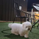Coton4u 이미지