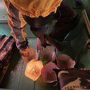 유동세탁소 | [25.3.30~4.4 다낭 자유여행 3일차 2/2] 호이안 야시장, 소원배, 포서울스파 발마사지 후기