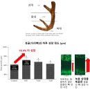 우리가족한의원 이미지