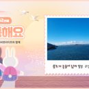 어바웃 플레이스