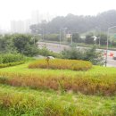 성안공 상진묘역 이미지