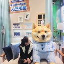 27200-가-57 | 홍대 핫플 올리브영 홍대타운 이니스프리 뚱시바 팝업 스토어 방문 후기 굿즈 할인템 인생네컷 총정리